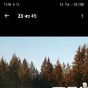 ���� ����������, ������, 41 ��� - ��������� 11 ������� 2024 � ������ ���� ����������