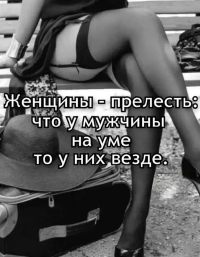 ������� - 19 ������ 2026 � 20:43