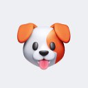 ���� �������, ������, 28 ��� - ��������� 8 ������� 2026 � ������ ���� ����������