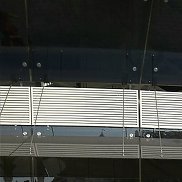 �������, 38 ���, �����