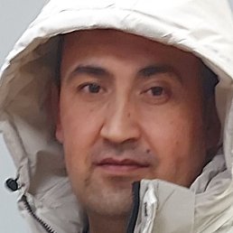 ��������, �����-���������, 37 ���