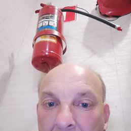 , 49 , 