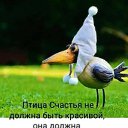 ���� �������, ��������� - ��������� 2 ������� 2024 � ������ ������ ��������