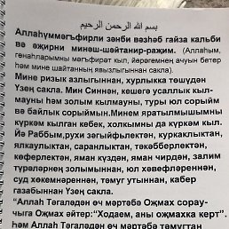 �����, ������, 48 ���