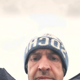 �����, ����, 46 ���