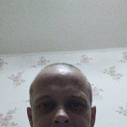 ���� ���������, ����������, 42 ���� - ��������� 1 ������ 2026