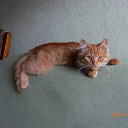 ���� ��������, ��������, 56 ��� - ��������� 8 ������� 2025 � ������ ����� ��������