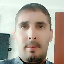 ������, ���, 43 ����