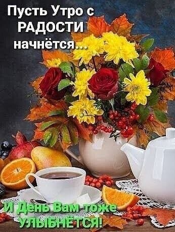   ,    . - 14  2024  21:50