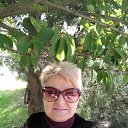  Angel Wings,  -  14  2025    