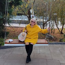 ˸��, ����, 56 ���