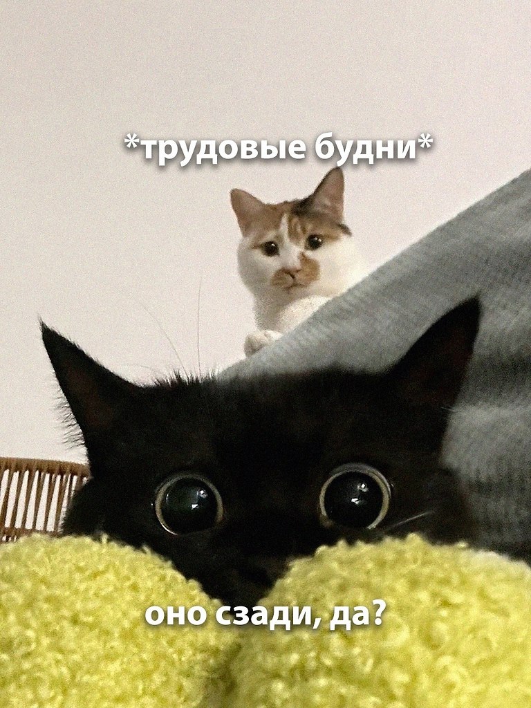    - 1  2025  04:19