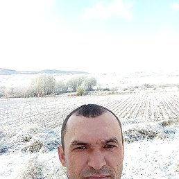 ������, ����������, 45 ���