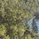 ���� �������, �����, 59 ��� - ��������� 27 �������� 2025 � ������ ���� ����������