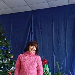 , 58, 