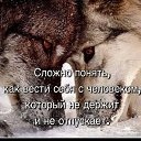 ���� �������, �����������, 63 ���� - ��������� 22 ������� 2023