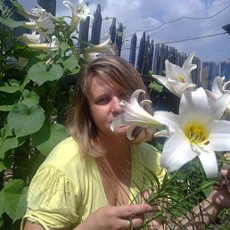 �����, ����, 52 ����