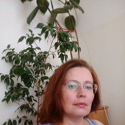 ���� ����, ������� - ��������� 25 ������� 2025