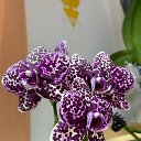 ���� �������, ������ - ��������� 14 ������� 2025 � ������ ���� �������