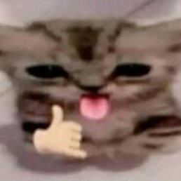 �������, �����������, 21 ���