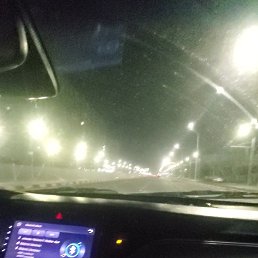 ���� ������, �������, 33 ���� - ��������� 31 ������ 2024