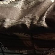 ����� �������, 41 ���, �����������