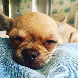 ���� Aleksandr, ������, 37 ��� - ��������� 7 ������� 2024