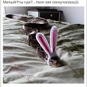 ���� �������, ������, 60 ��� - ��������� 23 ������ 2026 � ������ ������ ��������