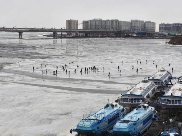 Петербургские рыбаки продолжают рисковать жизнью, массово выбираясь на лёд Финского залива в ...