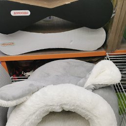 �����, ������, 38 ���