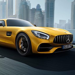 �����, �������, 23 ����