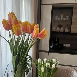 ������ ���������, ������, 46 ���