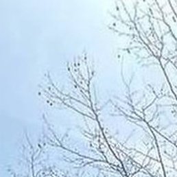 ������, ������, 36 ���