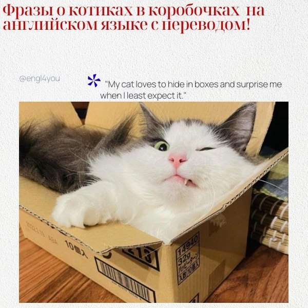 ��� ��������� ���� � ������� � ���������� � ��������� �� ������� ����: 1. 