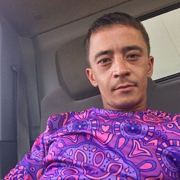 , 33, 