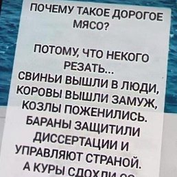 ���� ����, ����������, 36 ��� - ��������� 8 ������� 2025