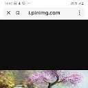 ���� ��������, ������, 41 ��� - ��������� 23 ������� 2024 � ������ ���� ����������