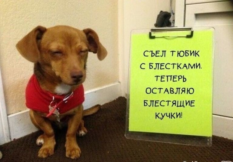 �� ����� ������� ����������� �������