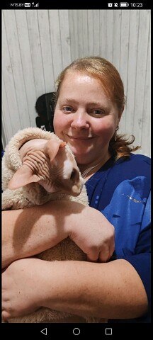 ���� ������, ������, 31 ��� - ��������� 11 ������ 2026