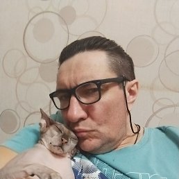 �����, �������, 51 ���