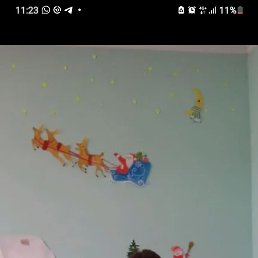, 45, 