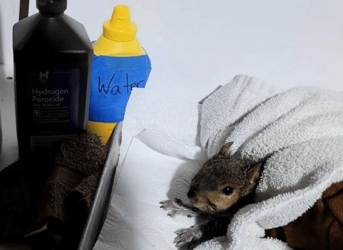 �� ��� ������, ��� ���-�� ������� ����� ���!�. � ������������ ���-����� ���� ��������, ��� �� ����� ... - 3