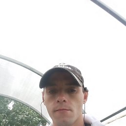 , 29, 