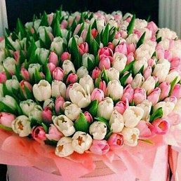 ���� ������, �����������, 60 ��� - ��������� 28 ��� 2025