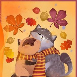 ������, ������, 51 ���