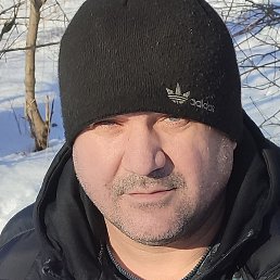 ����, ����, 44 ����