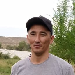 ������, ������, 48 ���