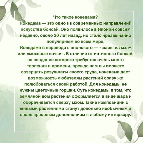 Кокедама — это одно из современных направлений искусства бонсай. Оно появилось в Японии совсем ... - 2