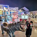 ���� ������, ����-����������� - ��������� 7 ����� 2025 � ������ ���� ����������