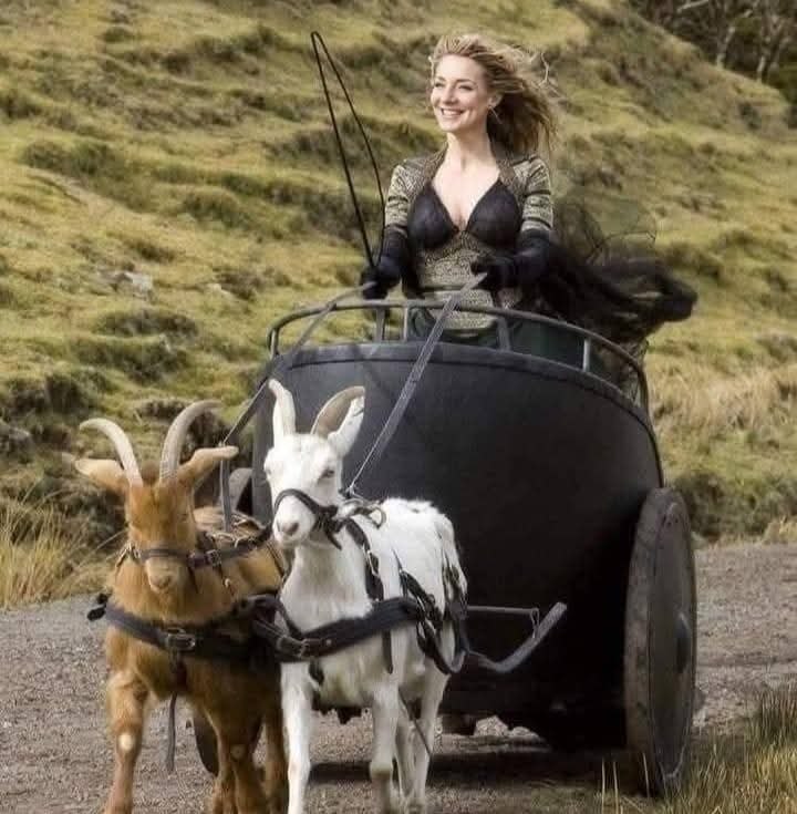 , ,       "".    : ...